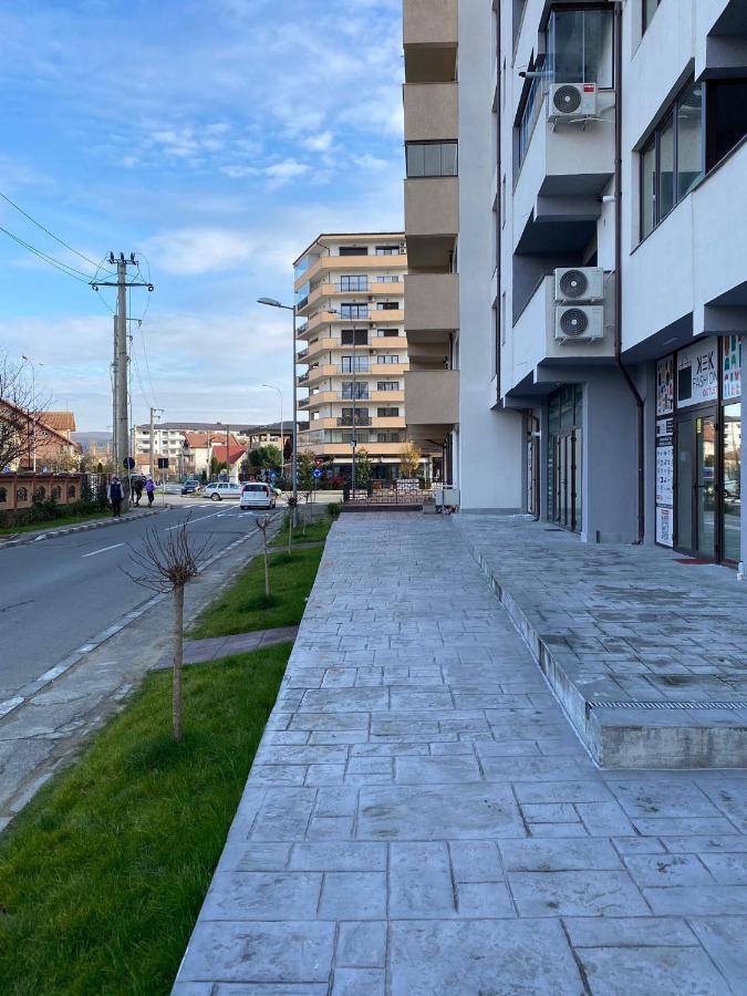 Apartament David Râmnicu Vâlcea Εξωτερικό φωτογραφία